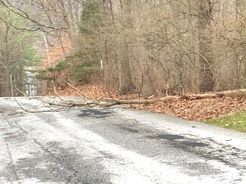 14:35:23 GMT-0500 (EST)