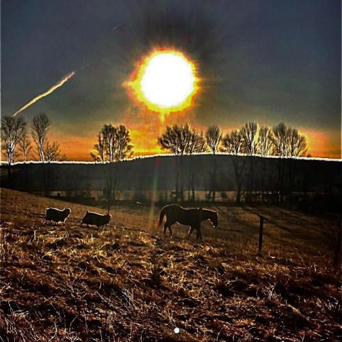 17:18:01 GMT-0500 (EST)