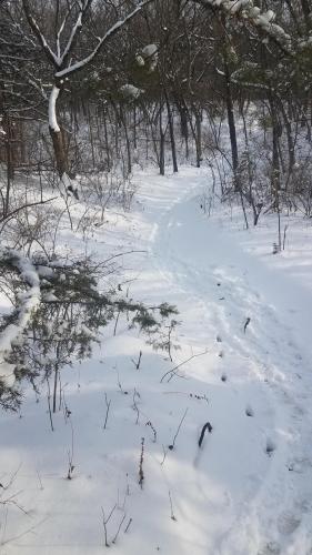 17:50:36 GMT-0600 (CST)