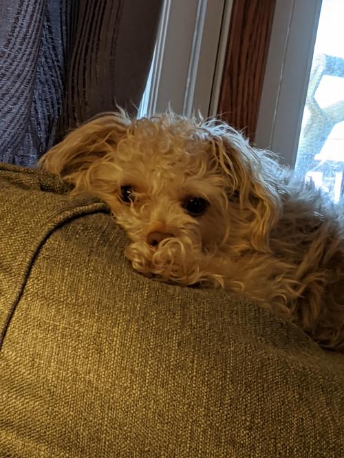 10:10:53 GMT-0600 (CST)