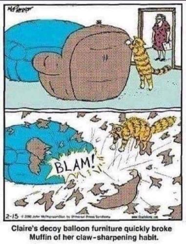 11:57:35 GMT-0500 (EST)