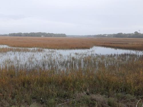 16:50:51 GMT-0600 (CST)