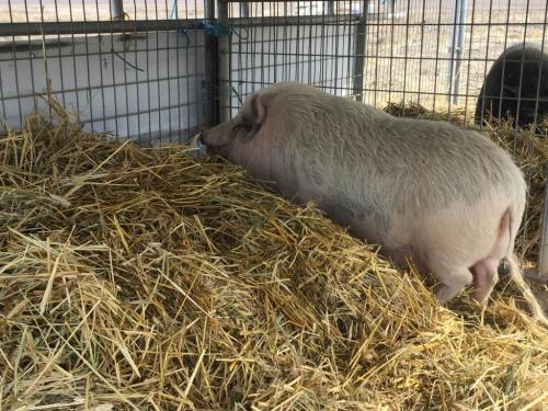 21:09:42 GMT-0800 (PST).image