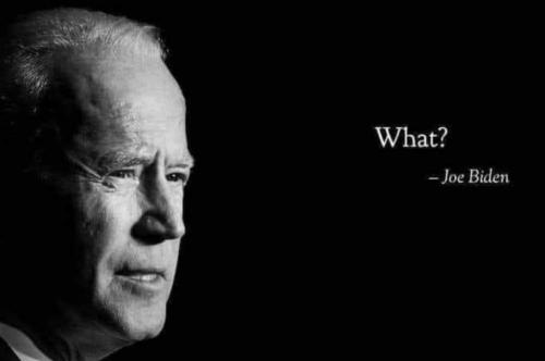 BIDEN7