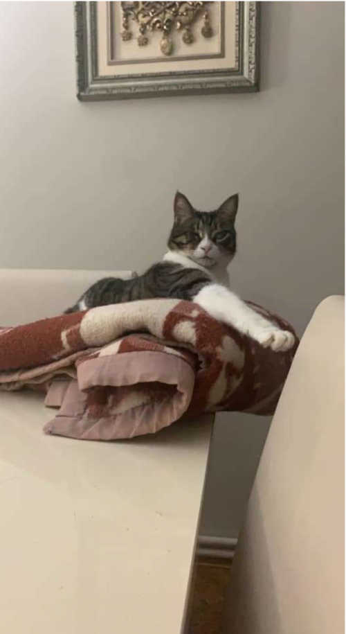 10:02:15 GMT+0100 (WAT).png