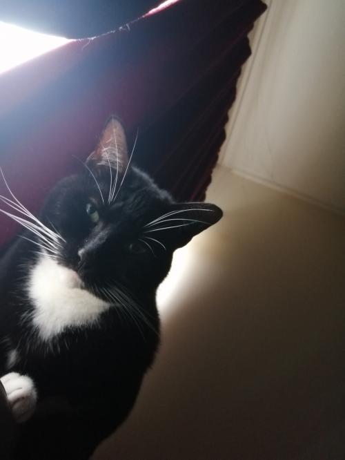 16:50:56 GMT+0000 (GMT)