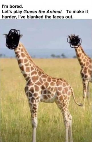 13:51:04 GMT-0500 (EST)