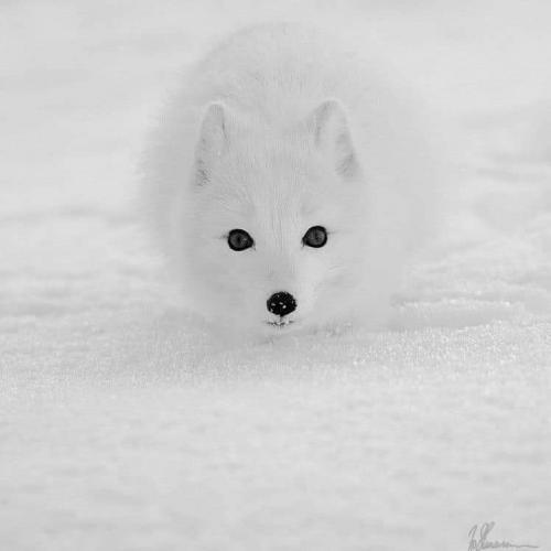 10:54:34 GMT-0600 (CST)