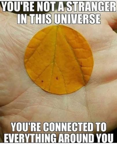 19:30:23 GMT+0000 (GMT)