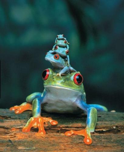 tumblr_ouyfynb3jY1qhxcwxo1_540