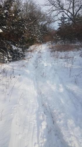 17:50:36 GMT-0600 (CST)