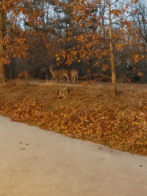 12:07:15 GMT-0500 (EST)