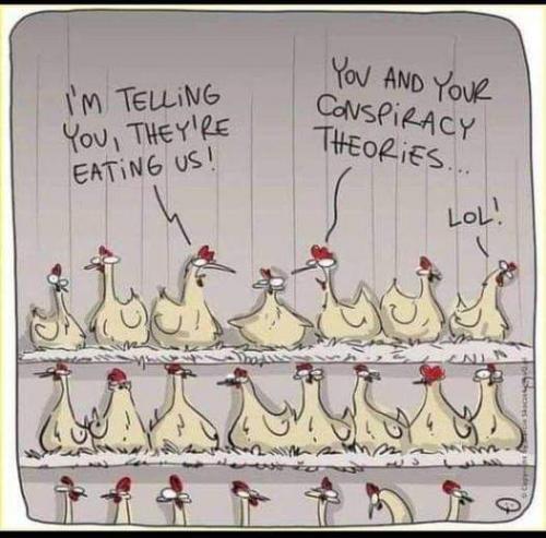 17:46:44 GMT-0600 (CST)