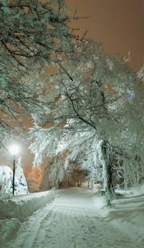 22:46:41 GMT-0600 (CST)