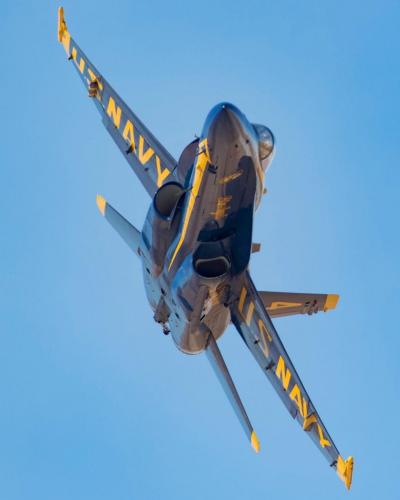 142655108_3704202809665912_1589853412115731273_o