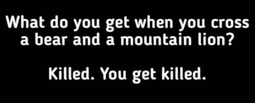 21:25:38 GMT-0500 (EST)