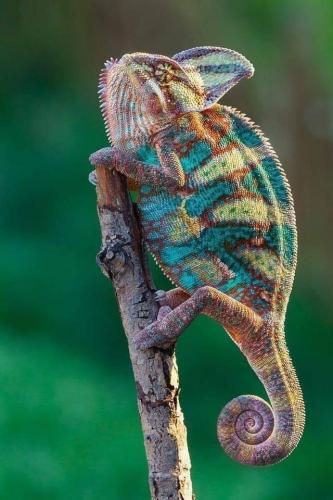 139667730_1777978625701675_4269112095890489115_n