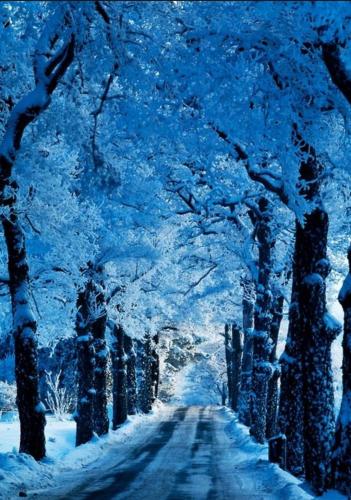 21:46:27 GMT-0600 (CST)