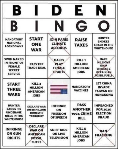 biden336