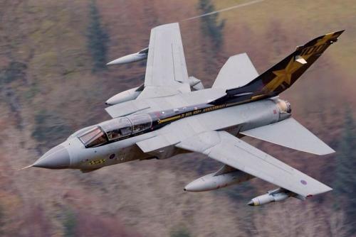 141072655_3690963910989802_1888506643281815757_o