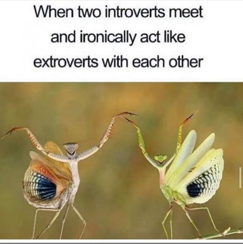 10:26:29 GMT-0500 (EST)