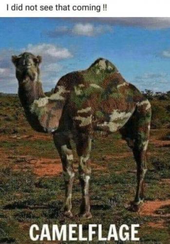 08:43:33 GMT-0500 (EST)