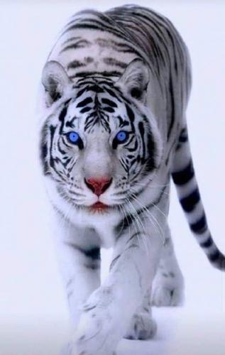 143241329_110652787662759_3662251873106281688_o