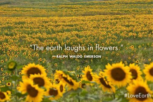 23:58:12 GMT-0600 (CST)