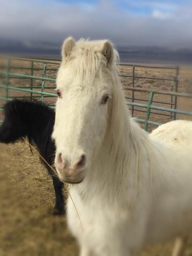 21:09:42 GMT-0800 (PST).image