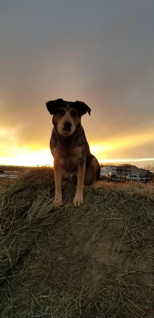 18:33:11 GMT-0700 (MST)