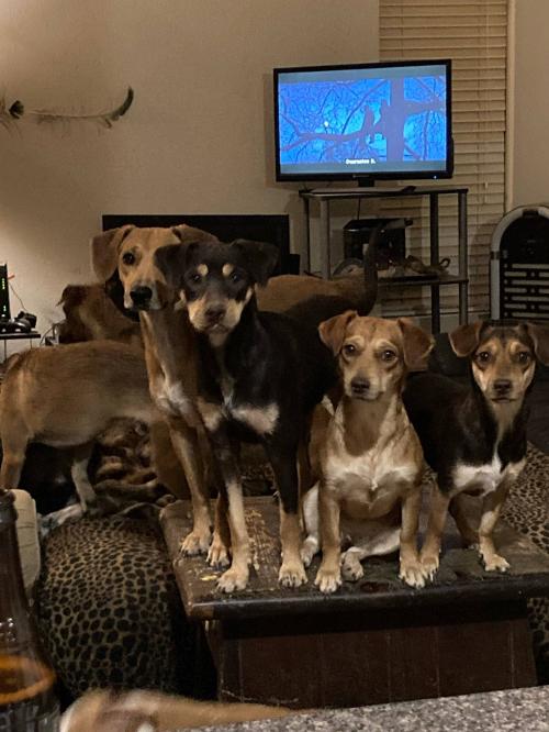 08:39:56 GMT-0800 (PST).image