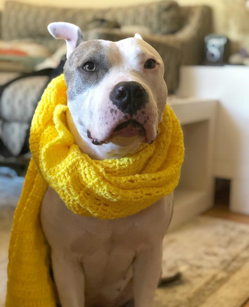 21:13:26 GMT+0100 (WAT).png