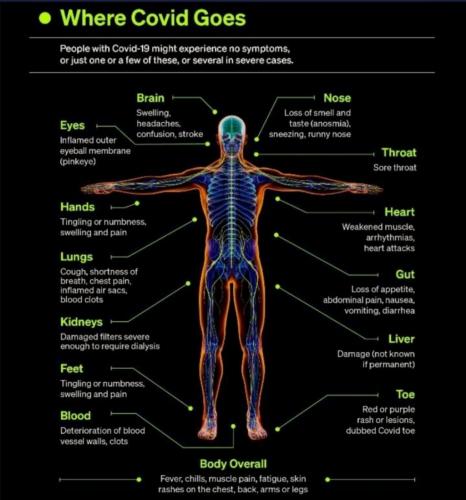 Screenshot_20210104_102016