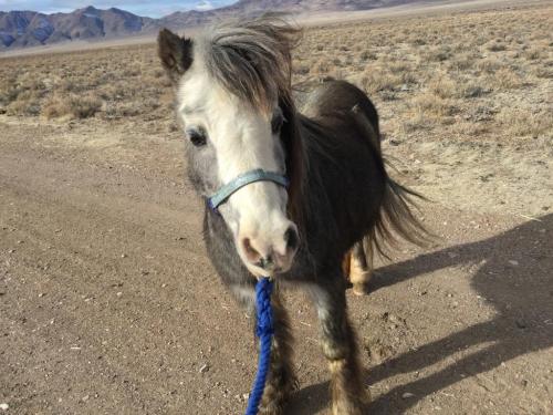 16:17:57 GMT-0800 (PST).image