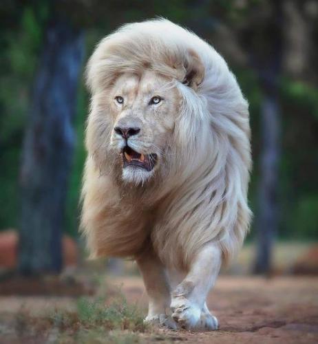 143587166_1785906388242232_8042587553100733476_o