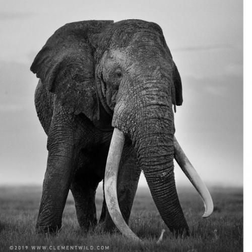 tumblr_c59d5fc593e076dfa1782debee137f88_32d305c3_540