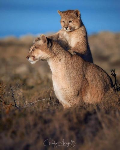 141667246_1782229815276556_7501614011133926066_o