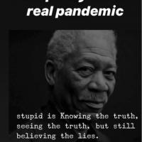 d15a10816284a5943f1b5304d3065123_200_square