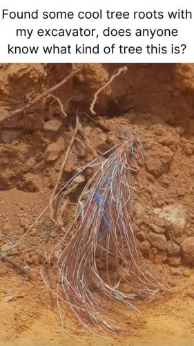 22:05:20 GMT-0500 (EST)