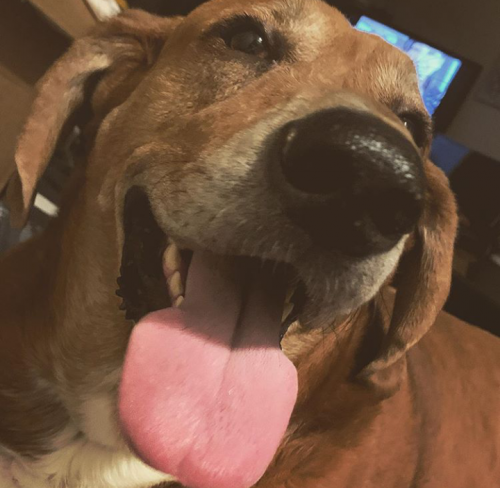 16:24:58 GMT+0100 (WAT).png