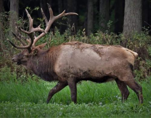 received_3238212426266363