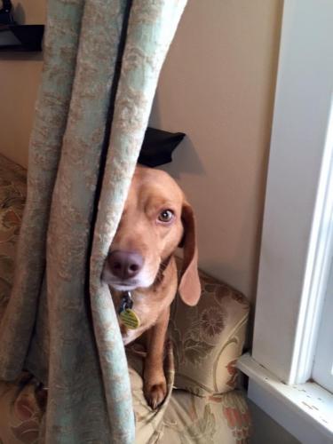 19:28:02 GMT-0600 (CST).image