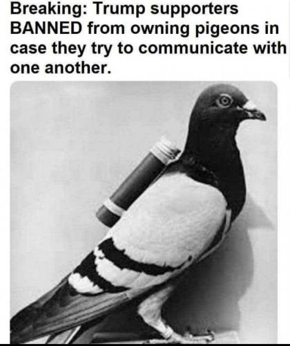 03:28:19 GMT-0600 (CST).image