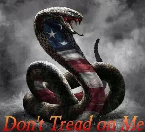 dont tread on me01