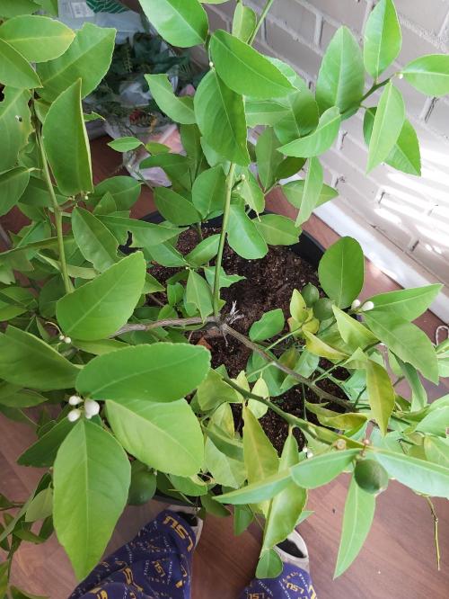 23:56:42 GMT-0600 (CST)