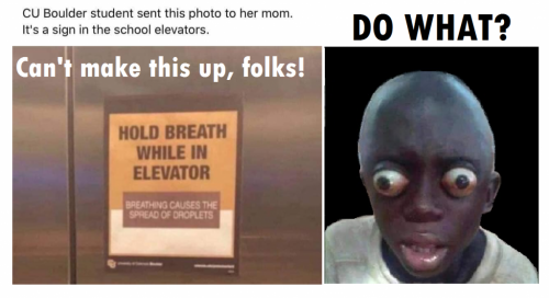 141364746_1076826029504739_4907996011763286778_n