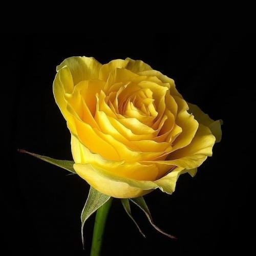 15:37:14 GMT+0100 (WAT)