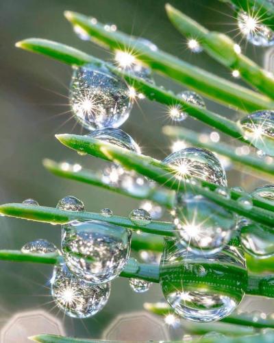 00:17:08 GMT-0600 (CST)