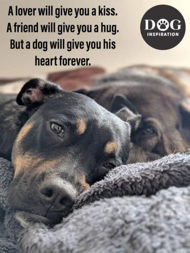 12:30:55 GMT-0500 (EST)