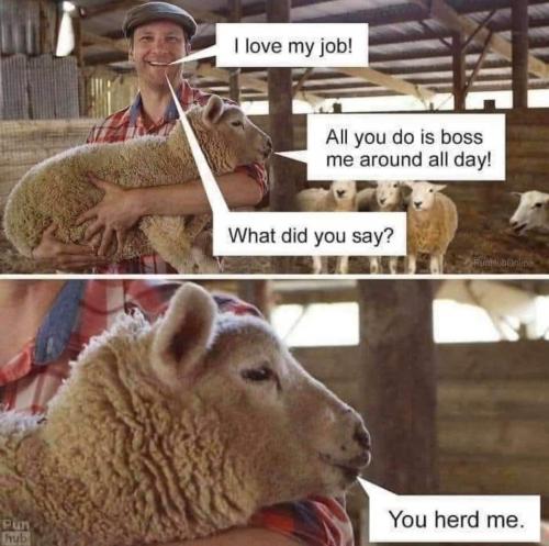 16:46:18 GMT-0500 (EST)